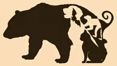 Illusione ottica con cinque animali: quale vedi per primo e cosa dice della tua personalità?