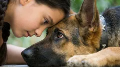 Parla con il tuo cane nella sua lingua: 7 gesti che sostituiscono "Ti amo"