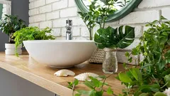 5 piante per il bagno che lo renderanno più accogliente