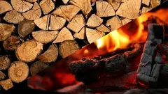 Quale tipo di legno è il nuovo leader tra i combustibili? I proprietari di caminetti lo apprezzano perché è economico.
