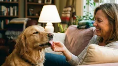 Perché il mio cane mi lecca? 5 motivi comuni e cosa puoi fare al riguardo
