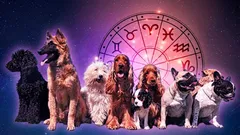 Qual è la razza di cane più adatta al tuo segno zodiacale: scopri il tuo compagno peloso ideale