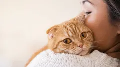 8 cose che un gatto perdona al suo padrone solo per grande amore